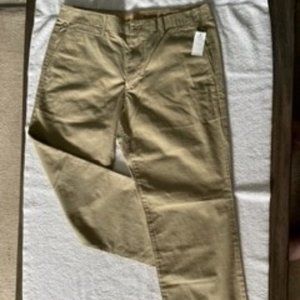 GAP Men's Chinos Khakis, Lived In Straight Fit